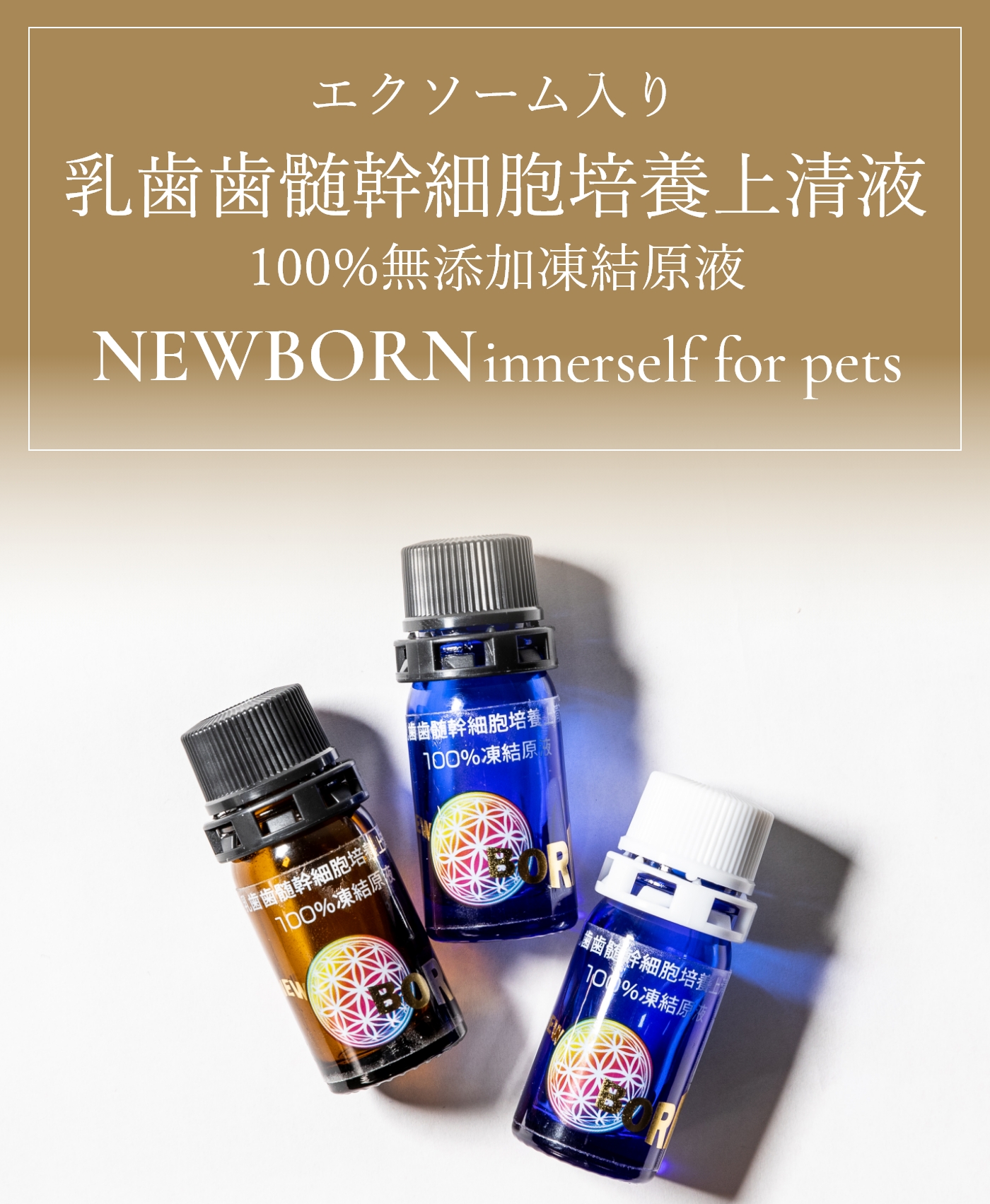 エクソーム入り乳歯歯髄幹細胞培養上清液 100%無添加凍結原液 NEWBORN innerself for pets